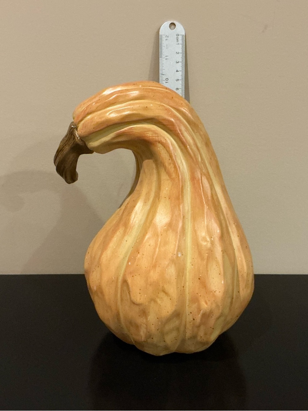 One Indoor/Outdoor Autumn Pumpkin Squash 🍂 - Picture 6 of 8